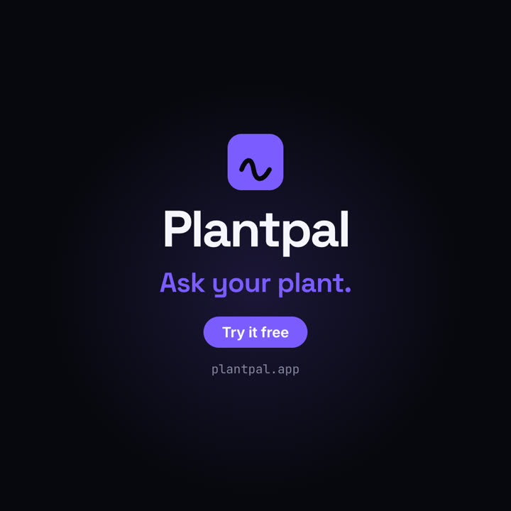Project → Launch Video · Electric · 1:1