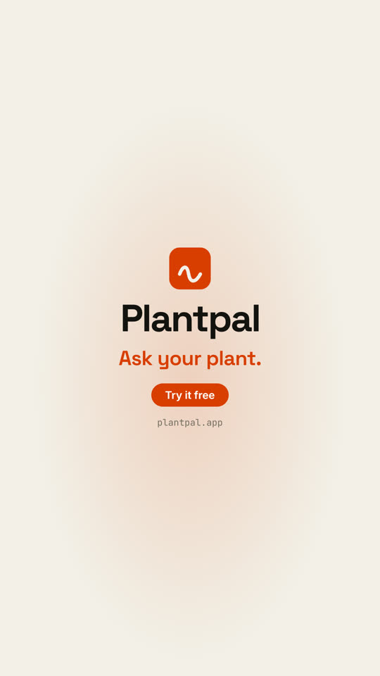 Project → Launch Video · Paper · 9:16